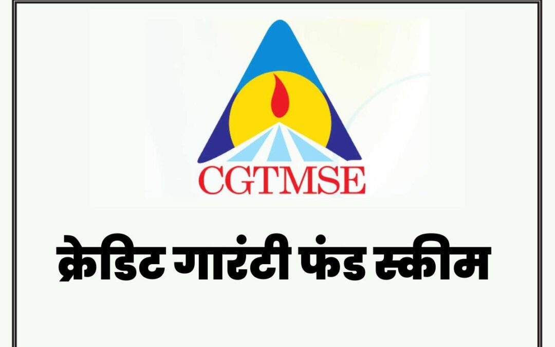 CGTMSE: Credit Guarantee Fund Trust for Micro and Small Enterprises