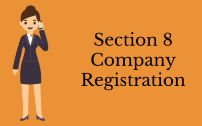 Section 8 Company